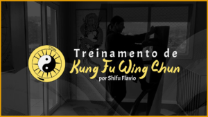Curso Online de Kung Fu